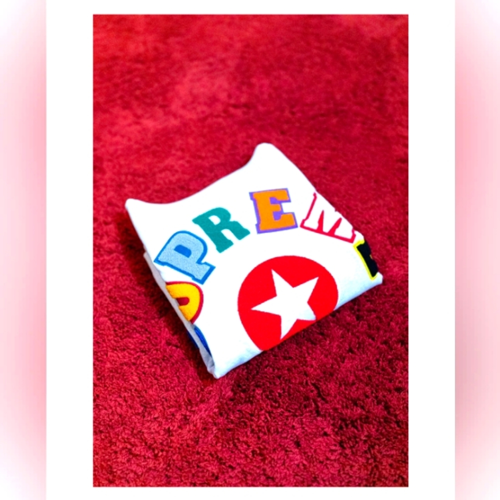 Supreme SS22 Team Chenille Hooded Sweatshirt (size M)